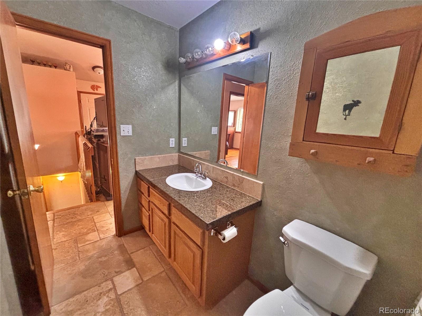 17 Silver Springs Road Bailey, CO 80421 - Photo 14 of 50