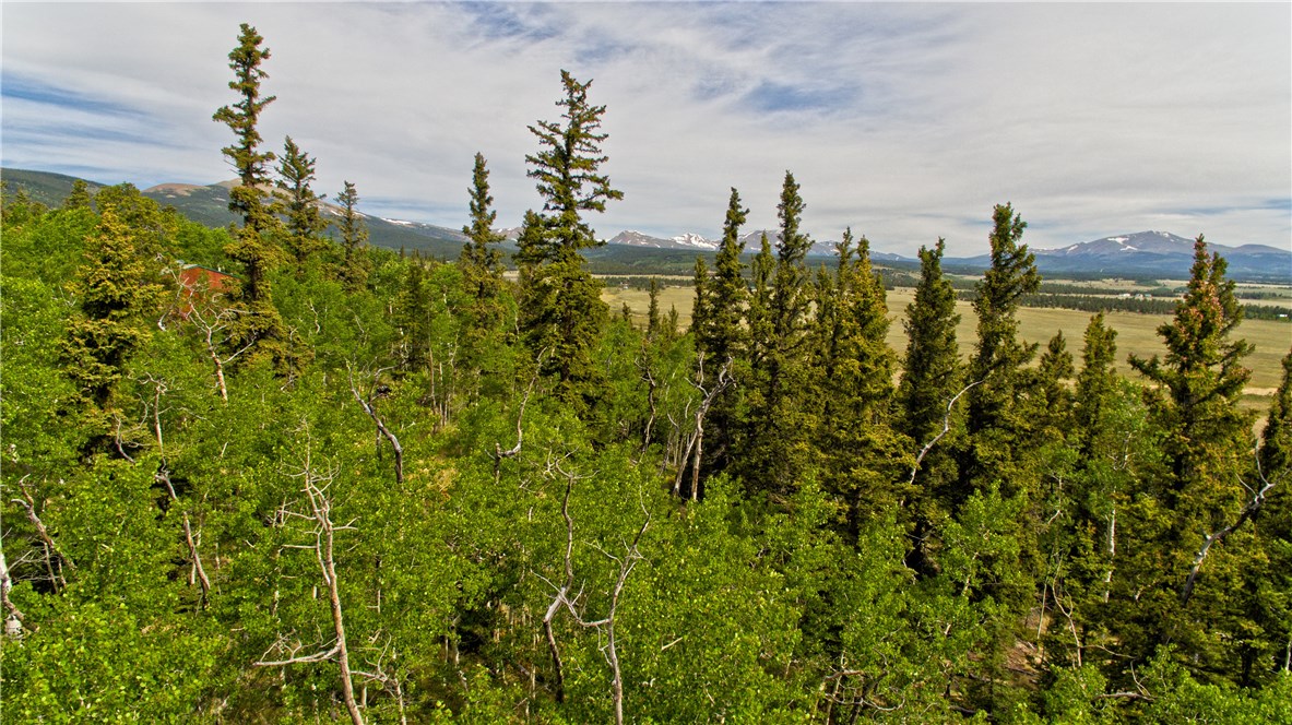 479 Sheep Ridge Road Fairplay, CO 80440 - Photo 1 of 8 Gallery Image 1
