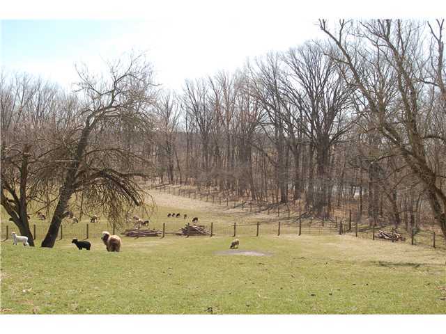 5277 Stover Road Ostrander, OH 43061 - Photo 16 of 24 Gallery Image 16