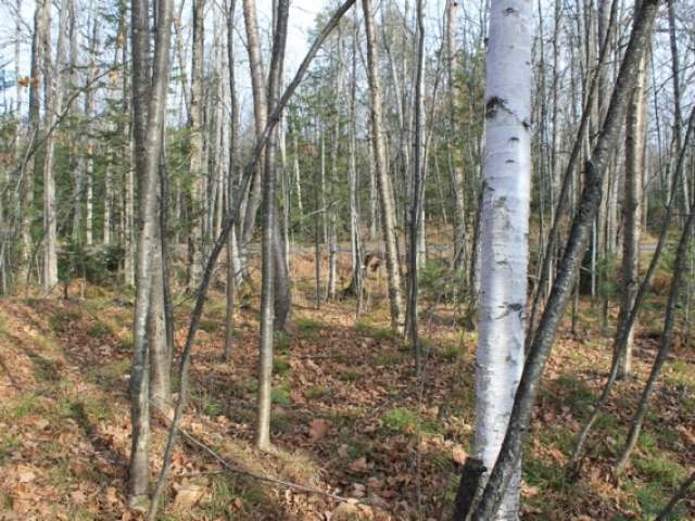 On On Cth G, Unit LT 6 Mercer, WI 54547 - Photo 7 of 8 Gallery Image 7