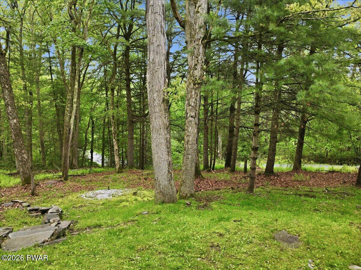124 Pine Tree Road Shohola, PA 18458 - Photo 60 of 83
