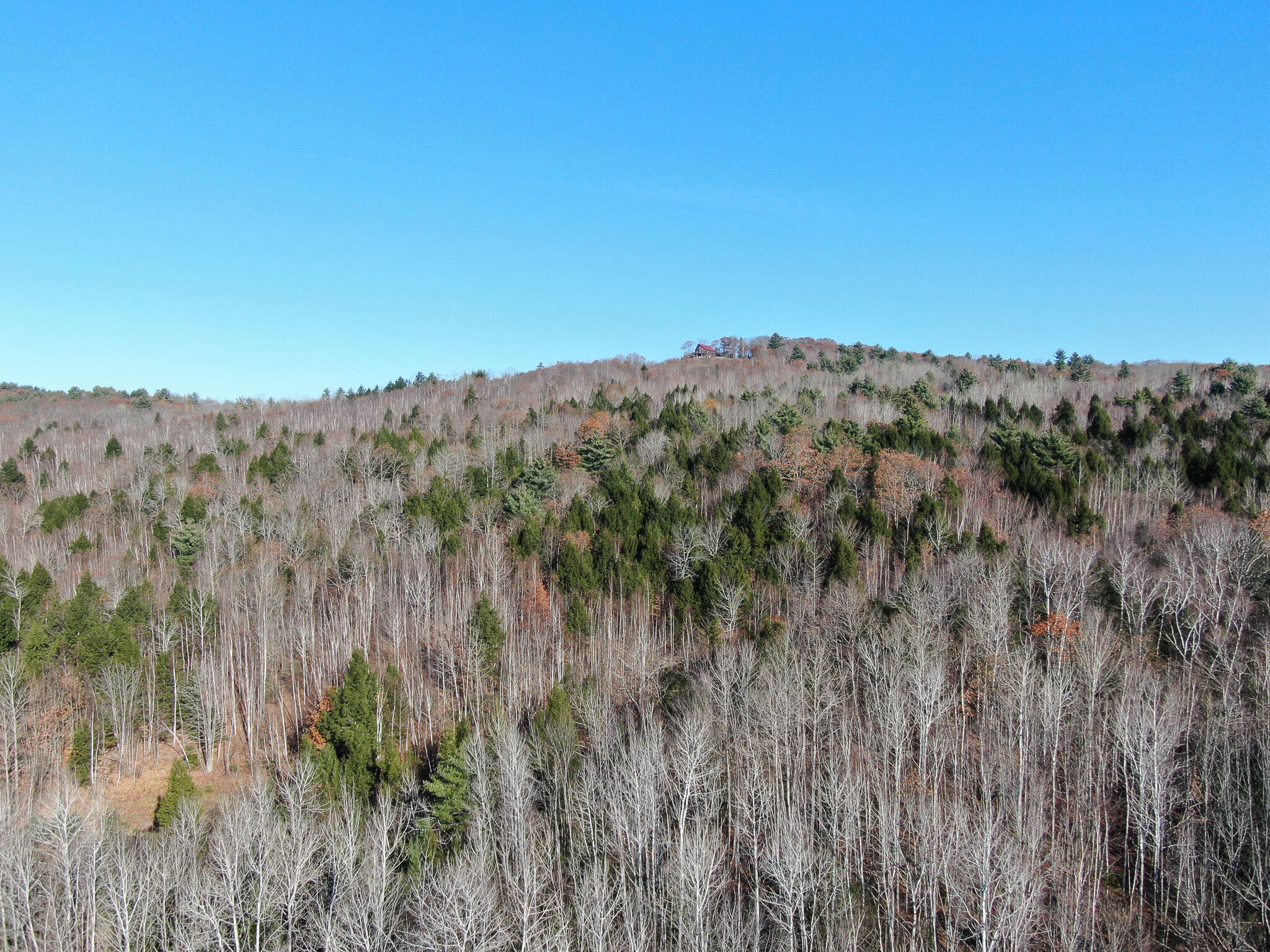 DJI_0652