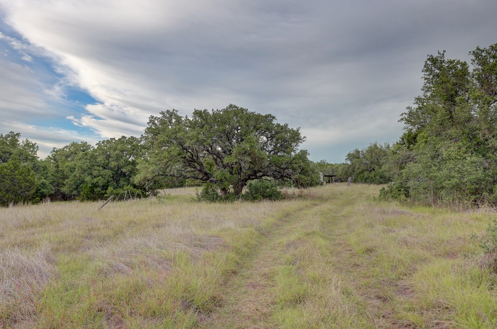 438 Yellowstone Lane Hunt, TX 78024 - Photo 13 of 47