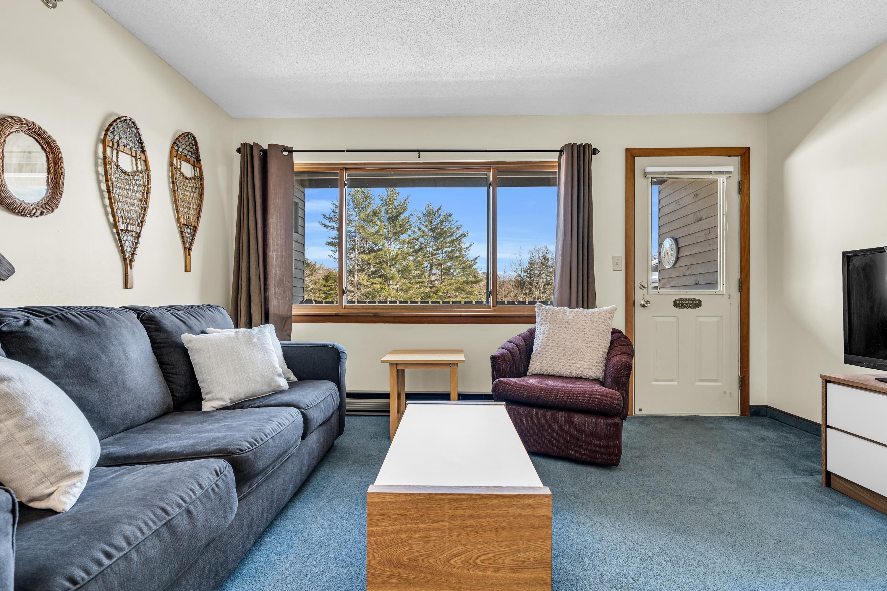 8 Fall Line Drive, Unit N105 Newry, ME 04261 - Photo 16 of 46 16-DSC05100