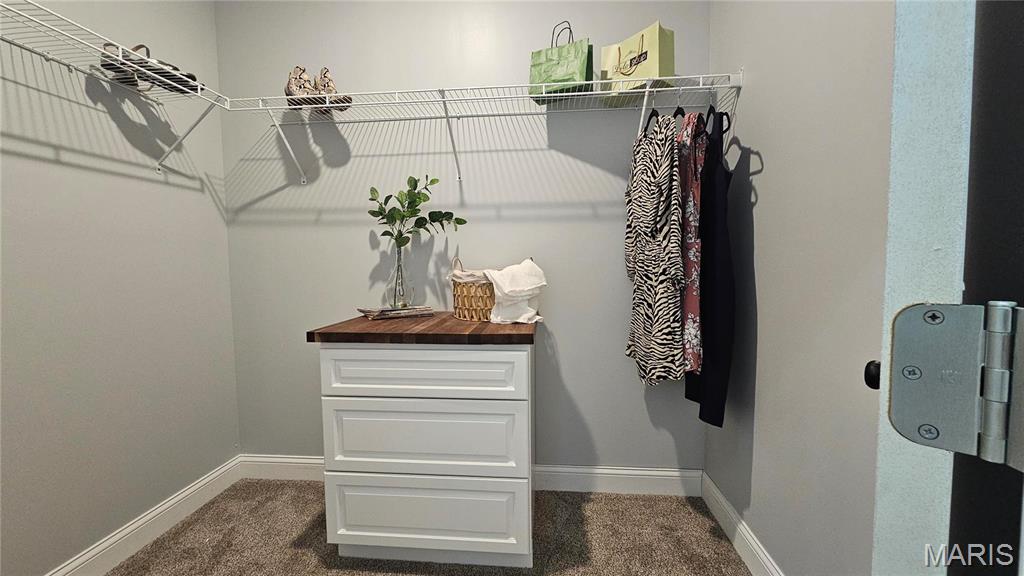 1114 Indian Court Lebanon, IL 62254 - Photo 19 of 26