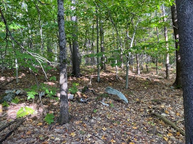 Lot #18 Rollins Road Newbury, NH 03255 - Photo 14 of 16 Gallery Image 14