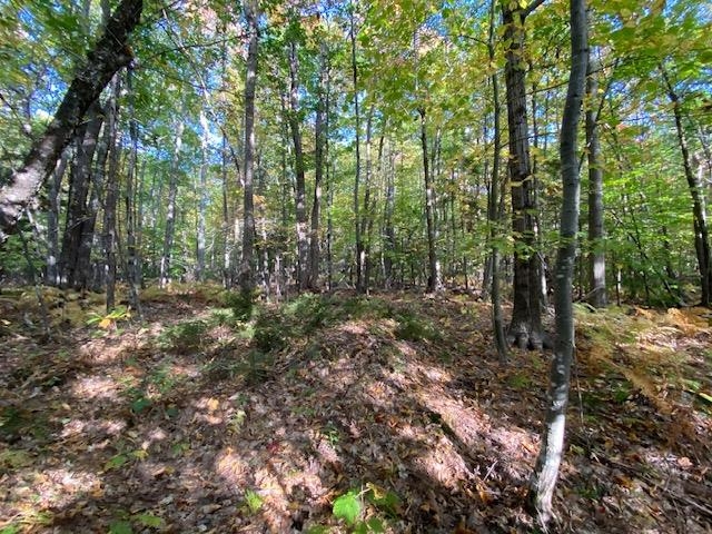 Lot #18 Rollins Road Newbury, NH 03255 - Photo 16 of 16 Gallery Image 16