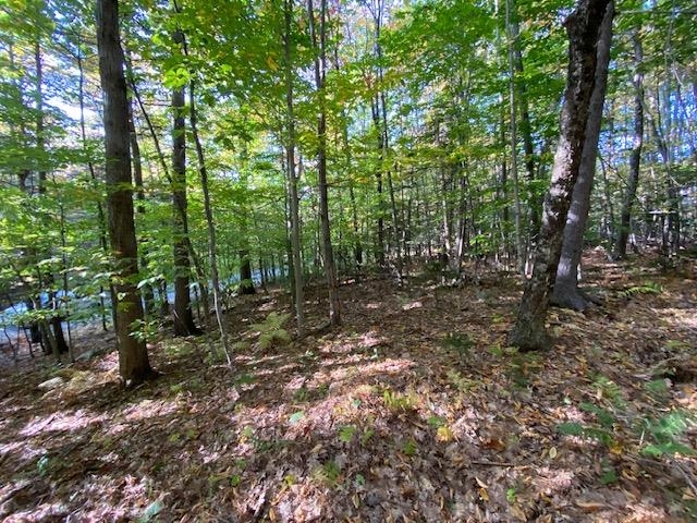 Lot #18 Rollins Road Newbury, NH 03255 - Photo 7 of 16 Gallery Image 7