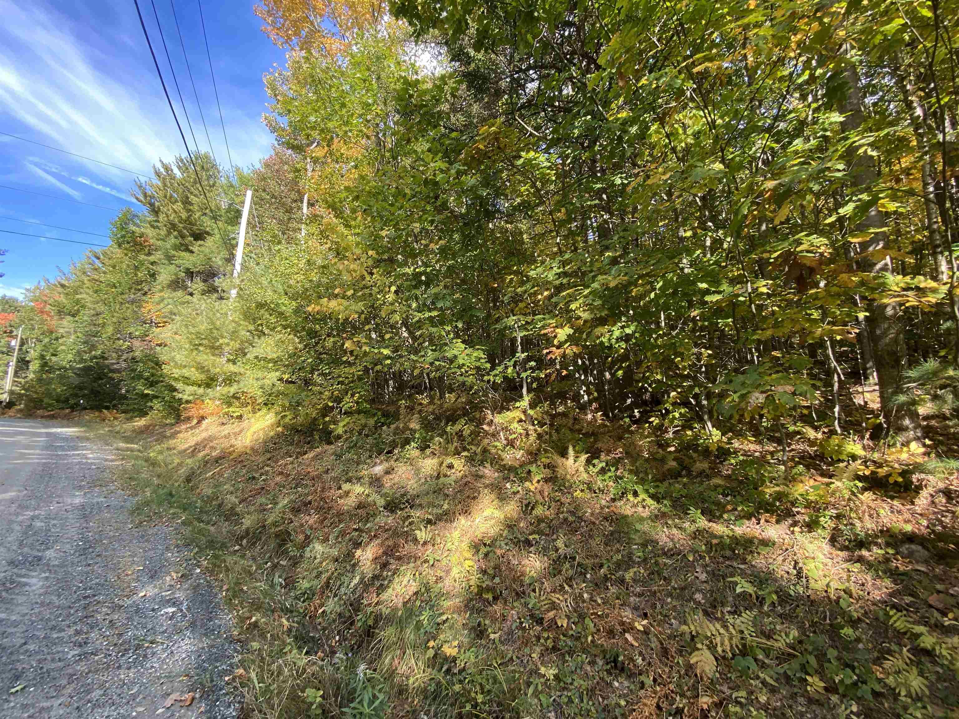 Lot #18 Rollins Road Newbury, NH 03255 - Photo 8 of 16 Gallery Image 8