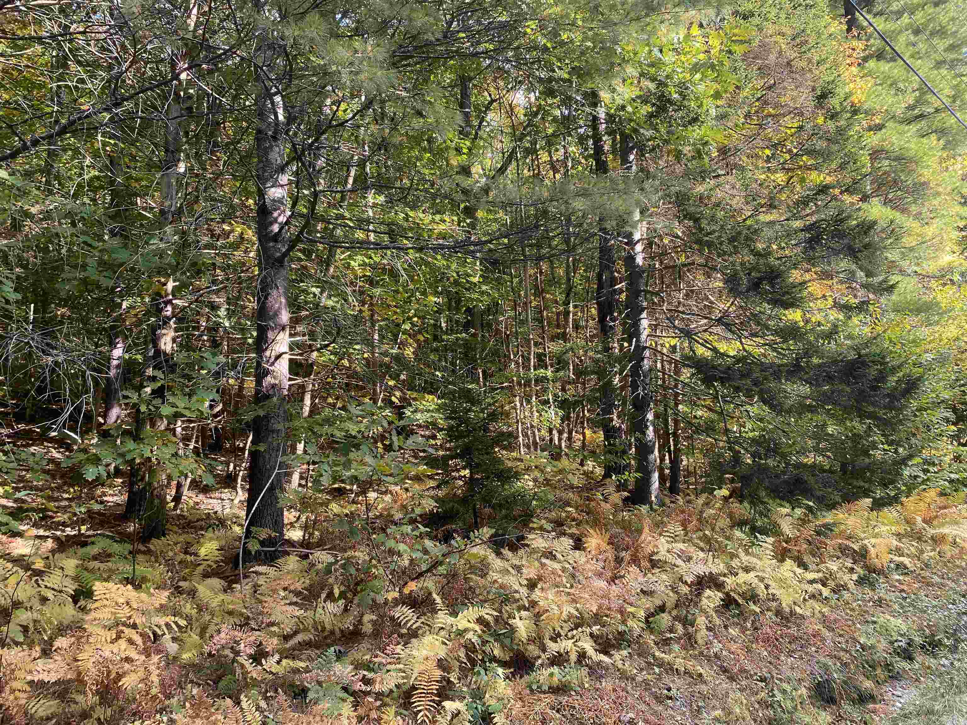 Lot #18 Rollins Road Newbury, NH 03255 - Photo 10 of 16 Gallery Image 10
