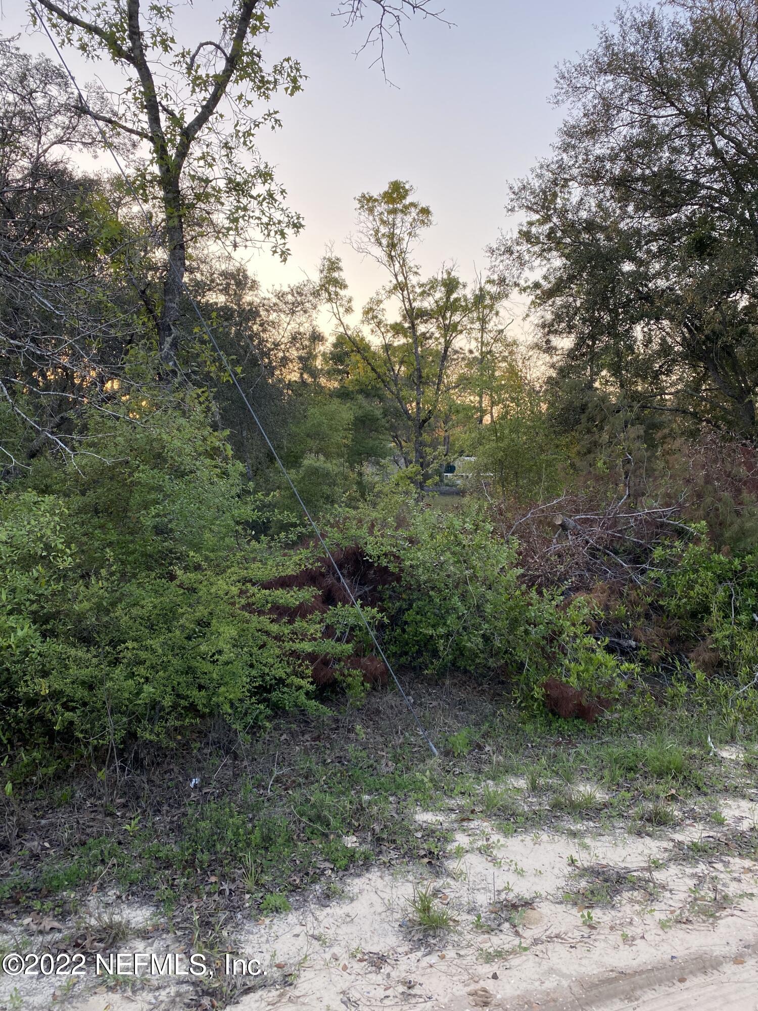 5690 Sequoia Road Keystone Heights, FL 32656 - Photo 8 of 10 IMG_4450