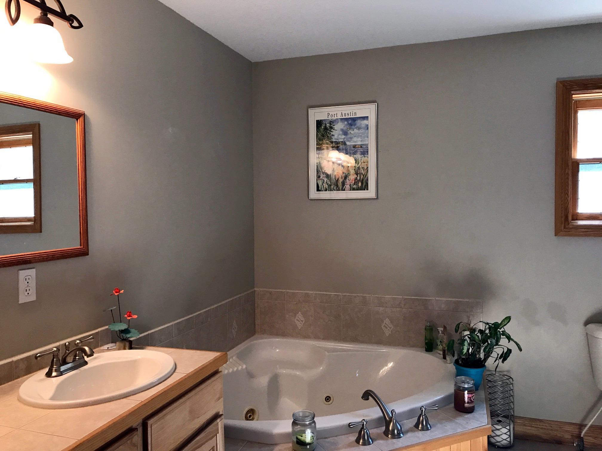 9655 Brudy Road Wolverine, MI 49799 - Photo 29 of 38 Gallery Image 29