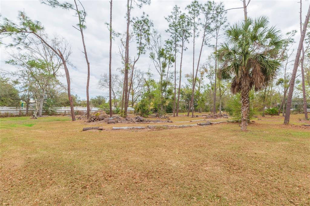 4772 Drexel Road Land O' Lakes, FL 34638 - Photo 7 of 19 Gallery Image 7