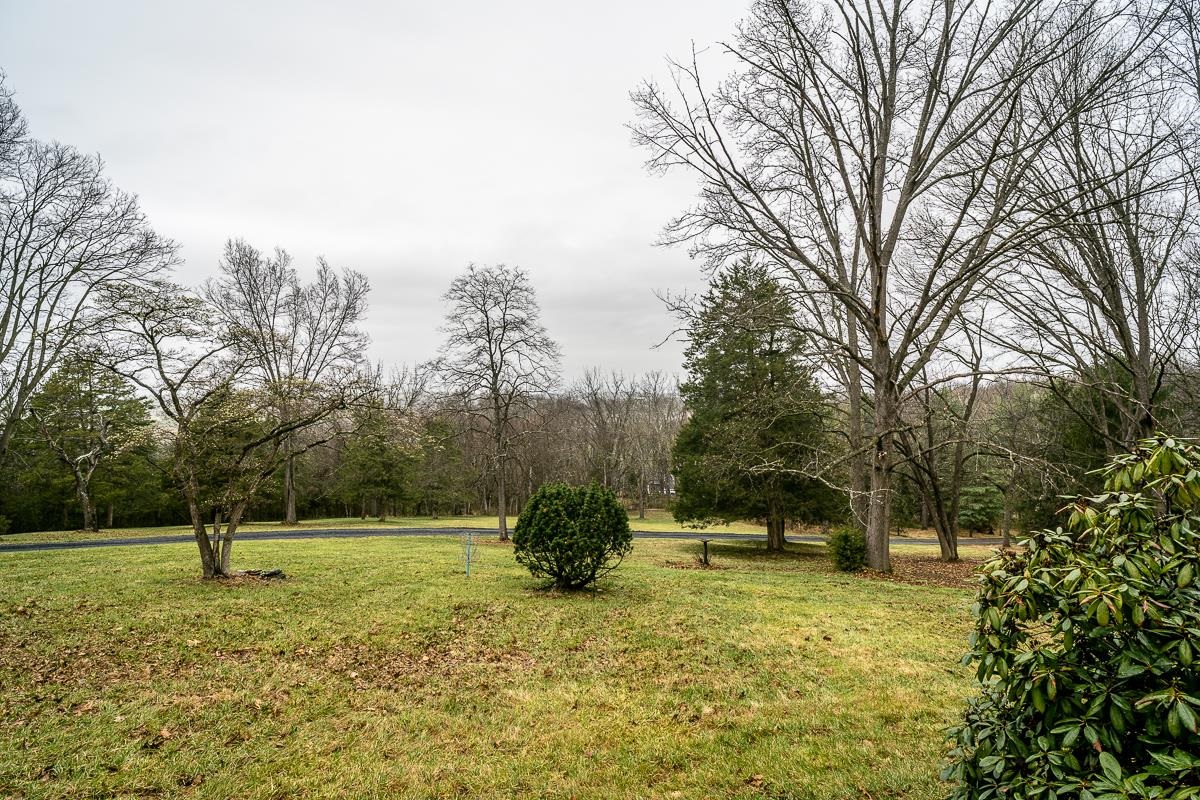 188 New Market Reservoir Road New Market, VA 22844 - Photo 28 of 61 Serene landscape with winter trees.