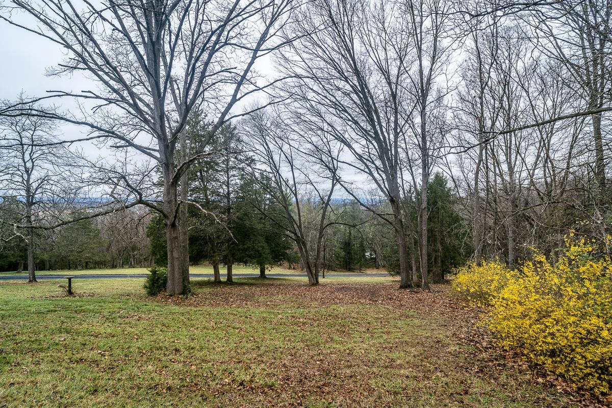 188 New Market Reservoir Road New Market, VA 22844 - Photo 30 of 61 a view of outdoor space with trees