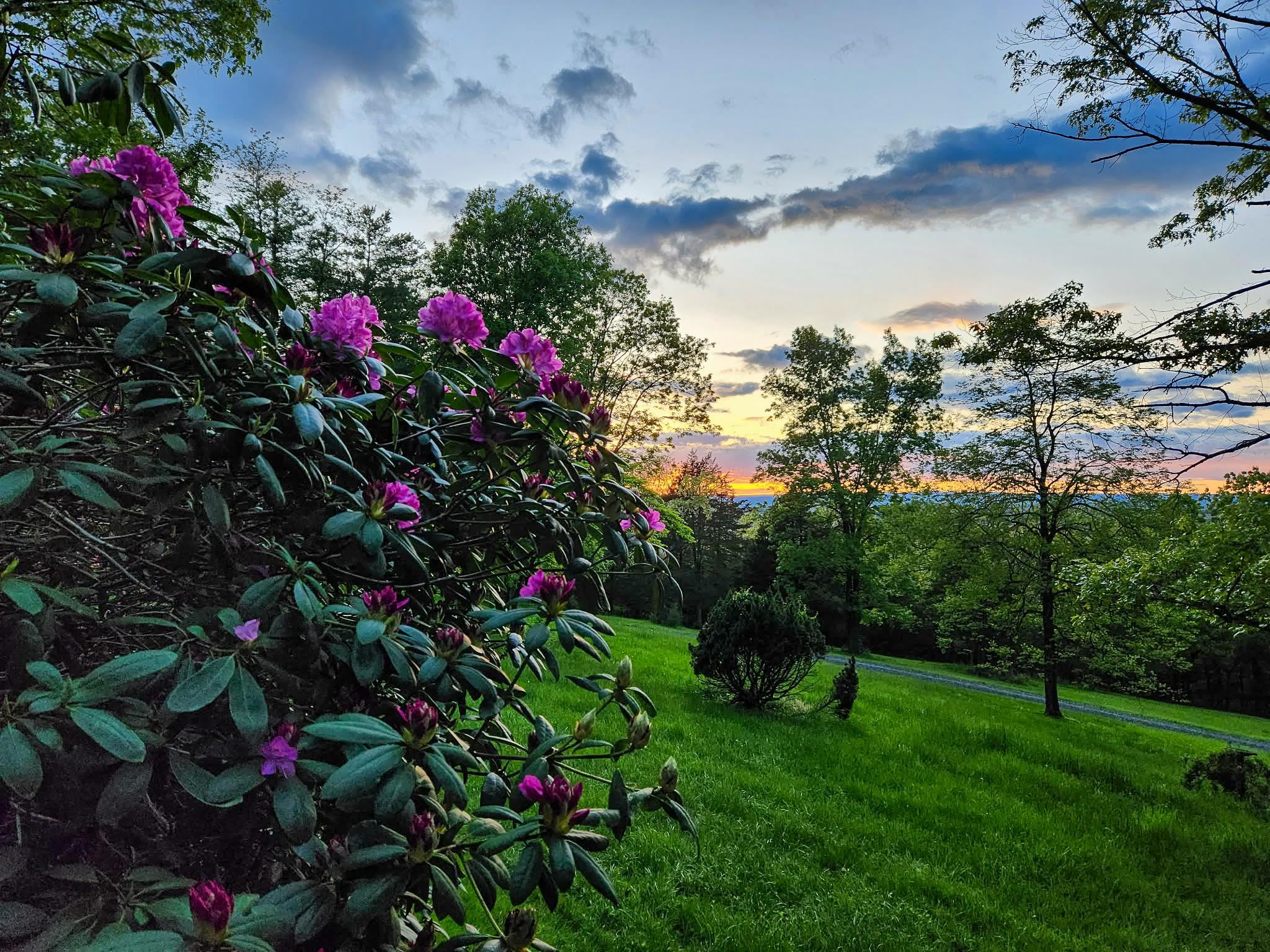188 New Market Reservoir Road New Market, VA 22844 - Photo 3 of 61 Sunset Serenity with Blossoms