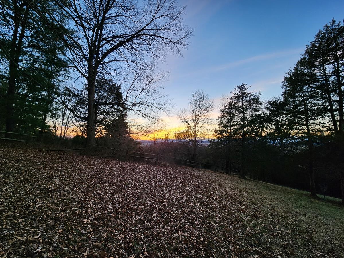 188 New Market Reservoir Road New Market, VA 22844 - Photo 48 of 61 Serene sunset over autumn leaves.