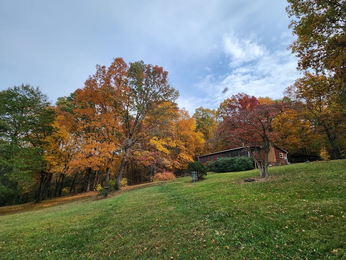188 New Market Reservoir Road New Market, VA 22844 - Photo 52 of 61 a backyard of a house with lots of green space
