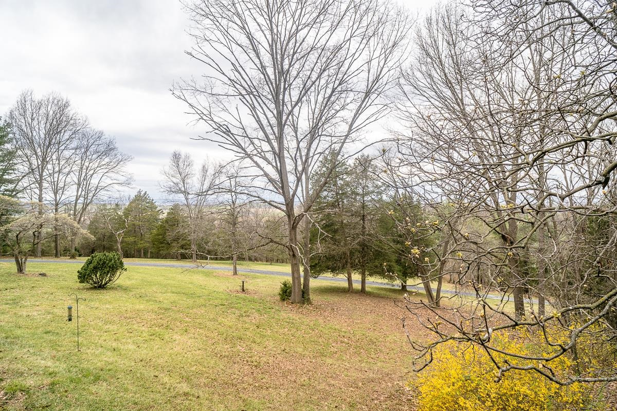188 New Market Reservoir Road New Market, VA 22844 - Photo 60 of 61 a view of outdoor space with trees