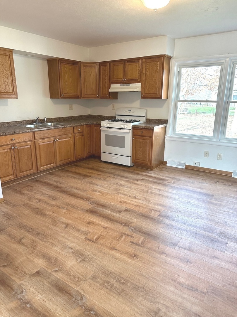 249 West Nebraska Street Frankfort, IL 60423 - Photo 7 of 18 a kitchen with a stove a sink and a microwave