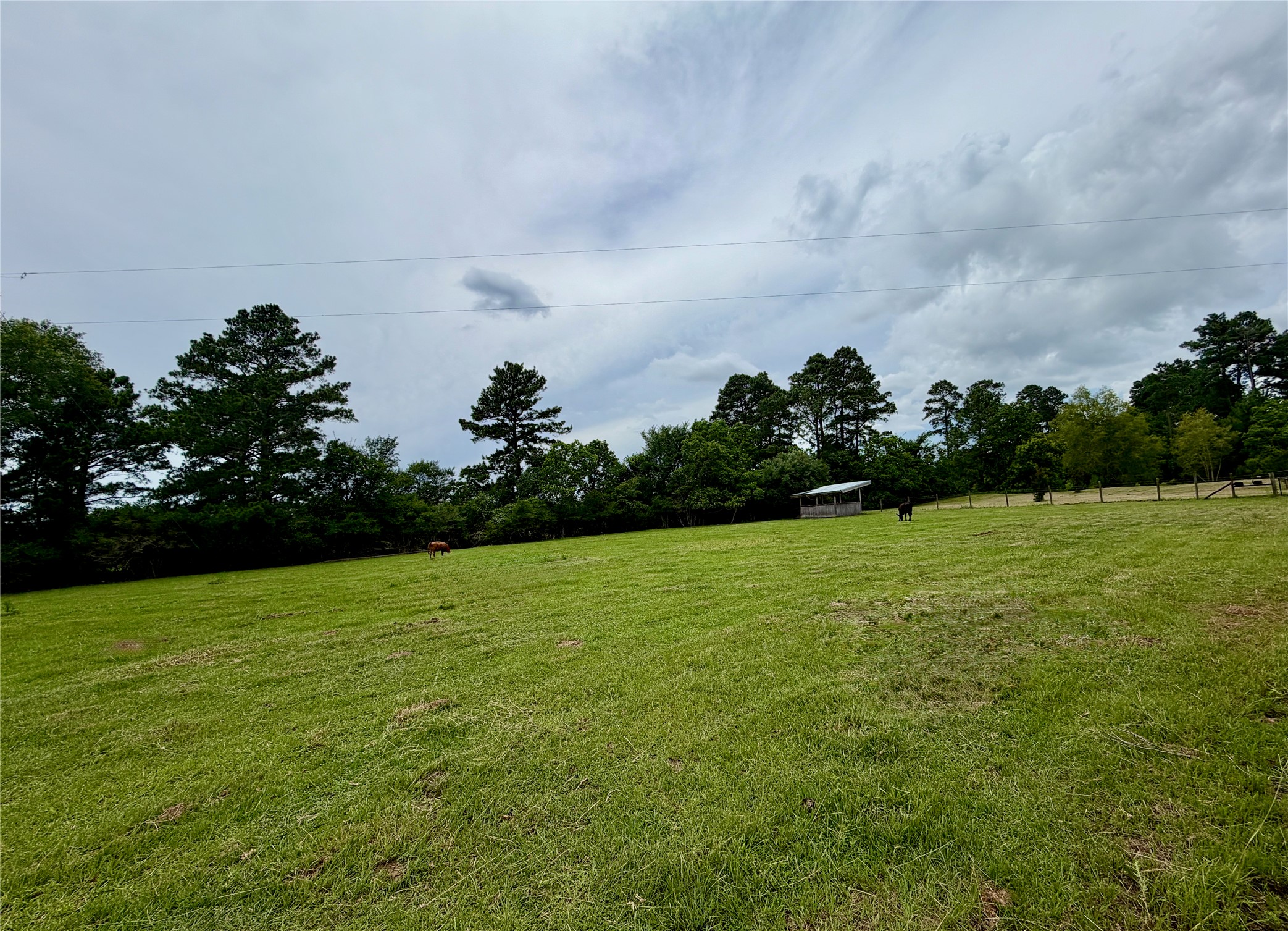 26534 Mitchell Road Hempstead, TX 77445 - Photo 4 of 11