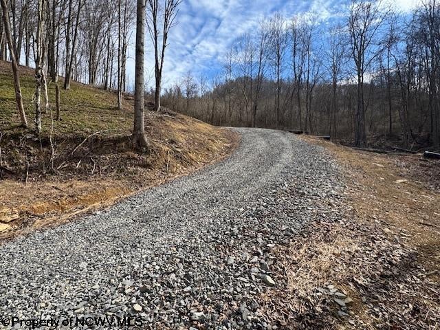 Tbd Green Valley Road Bridgeport, WV 26330 - Photo 15 of 19 Gallery Image 15