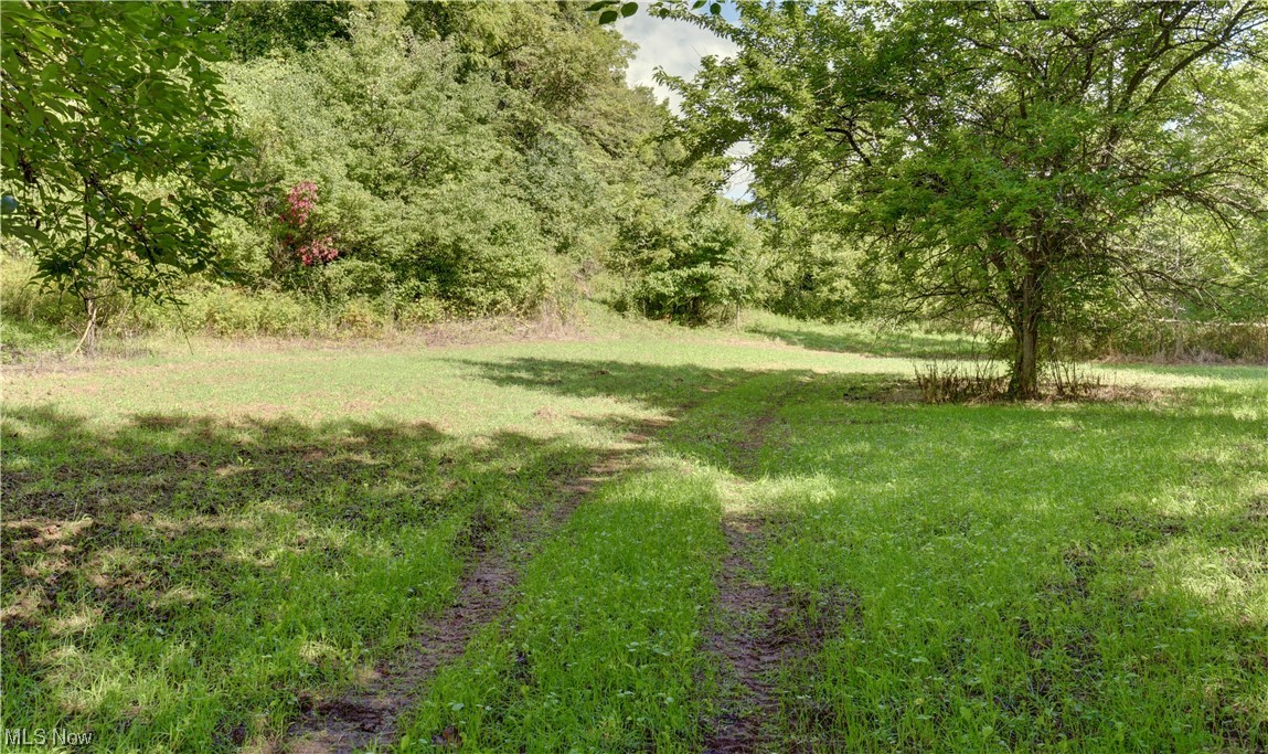 Fogle Road Caldwell, OH 43724 - Photo 18 of 18 View of yard