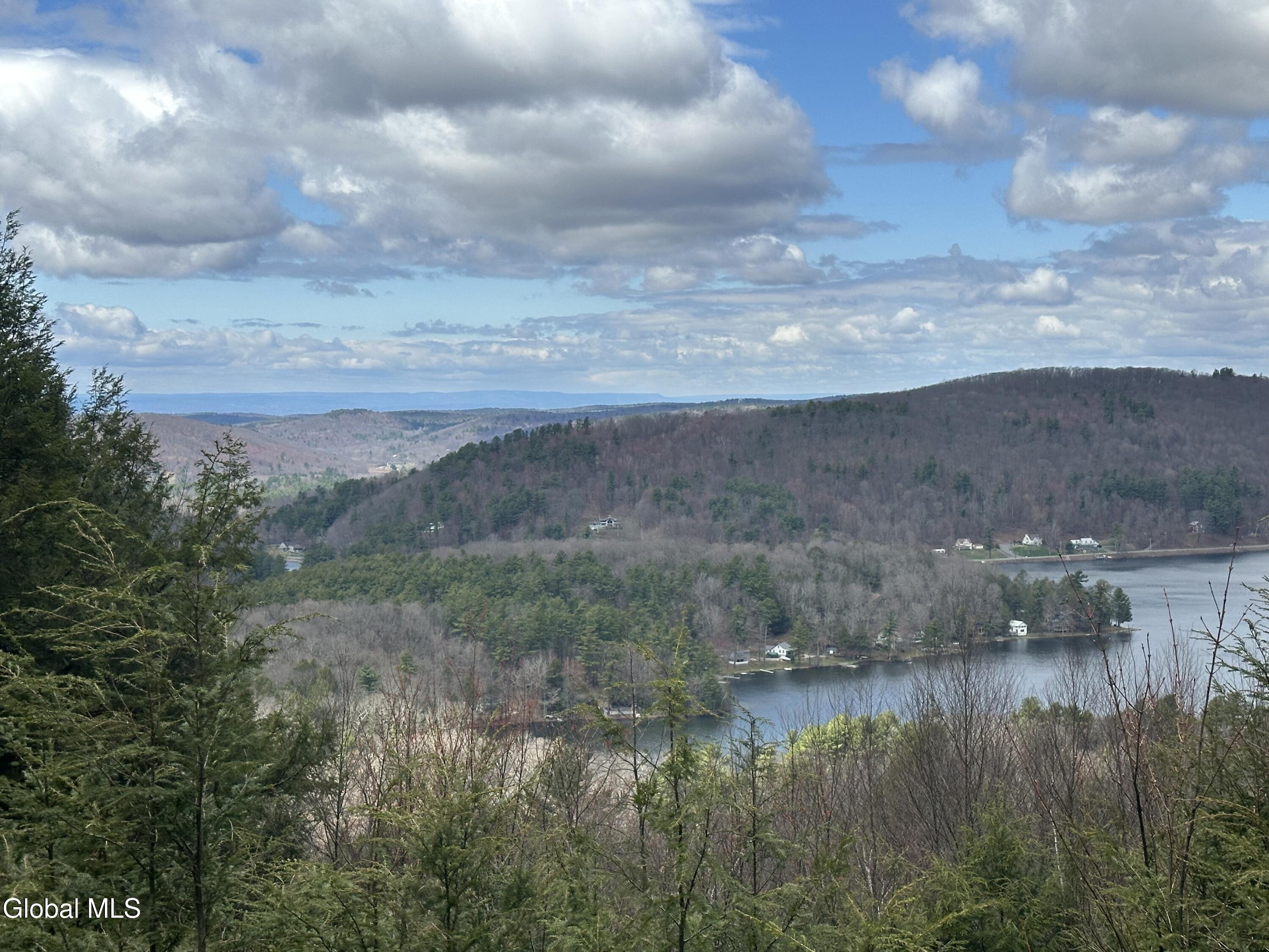 308 Shaker Ridge Drive Canaan, NY 12029 - Photo 2 of 42 Ron Gelber view