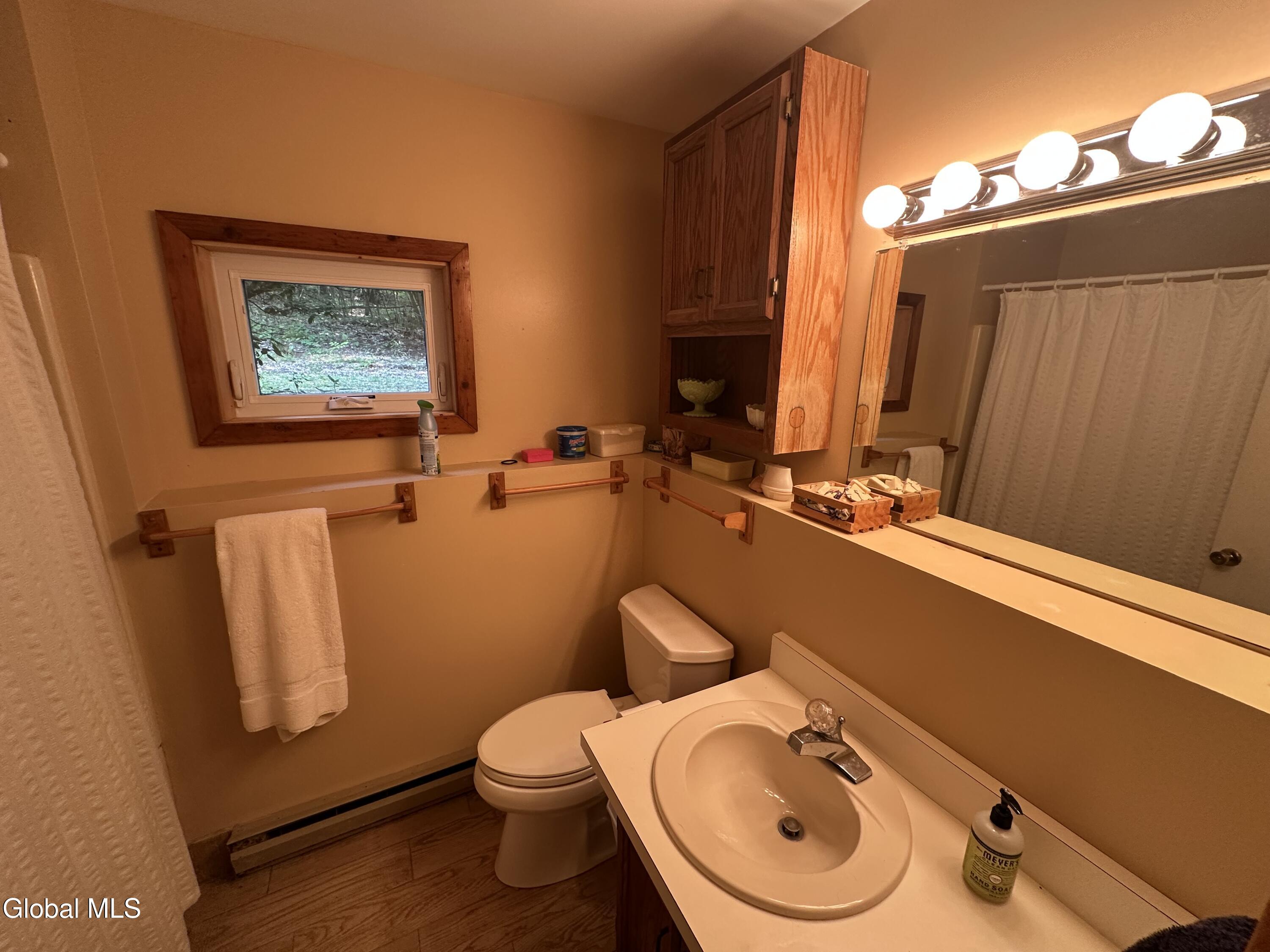 308 Shaker Ridge Drive Canaan, NY 12029 - Photo 33 of 42 Ron bath