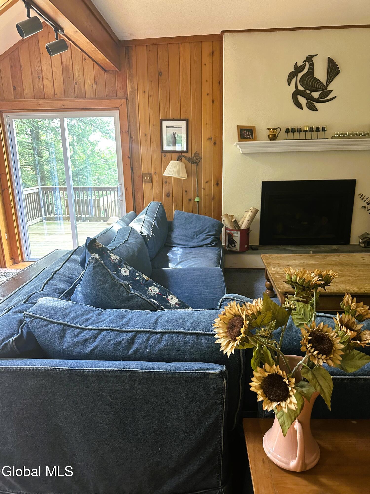 308 Shaker Ridge Drive Canaan, NY 12029 - Photo 8 of 38 IMG_1412