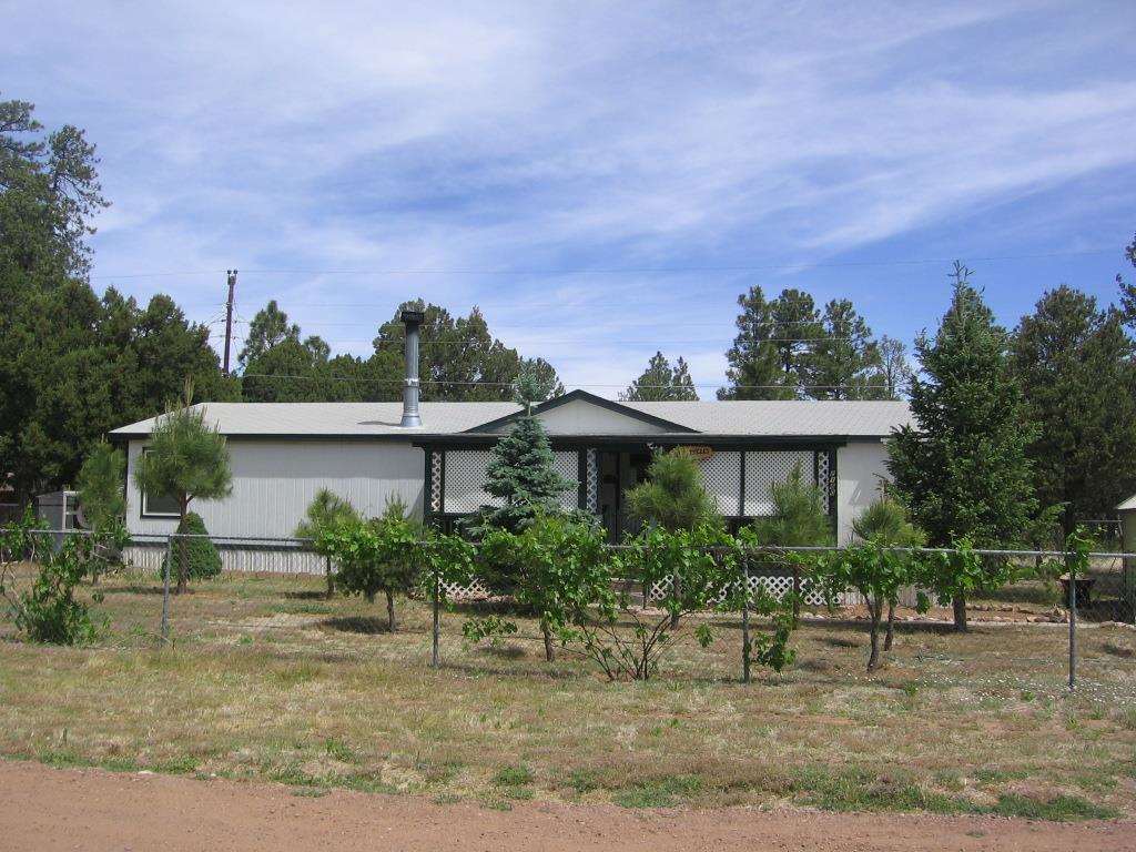 2182 Wildlife Trail Overgaard, AZ 85933 - Photo 1 of 35