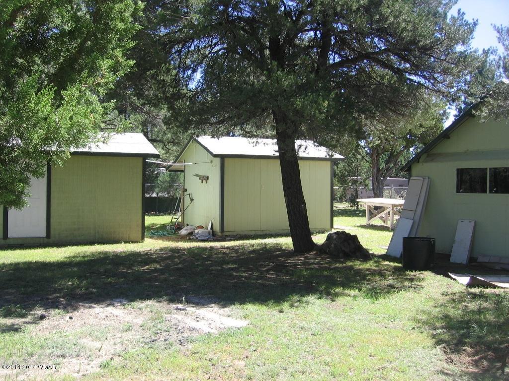 2182 Wildlife Trail Overgaard, AZ 85933 - Photo 6 of 35