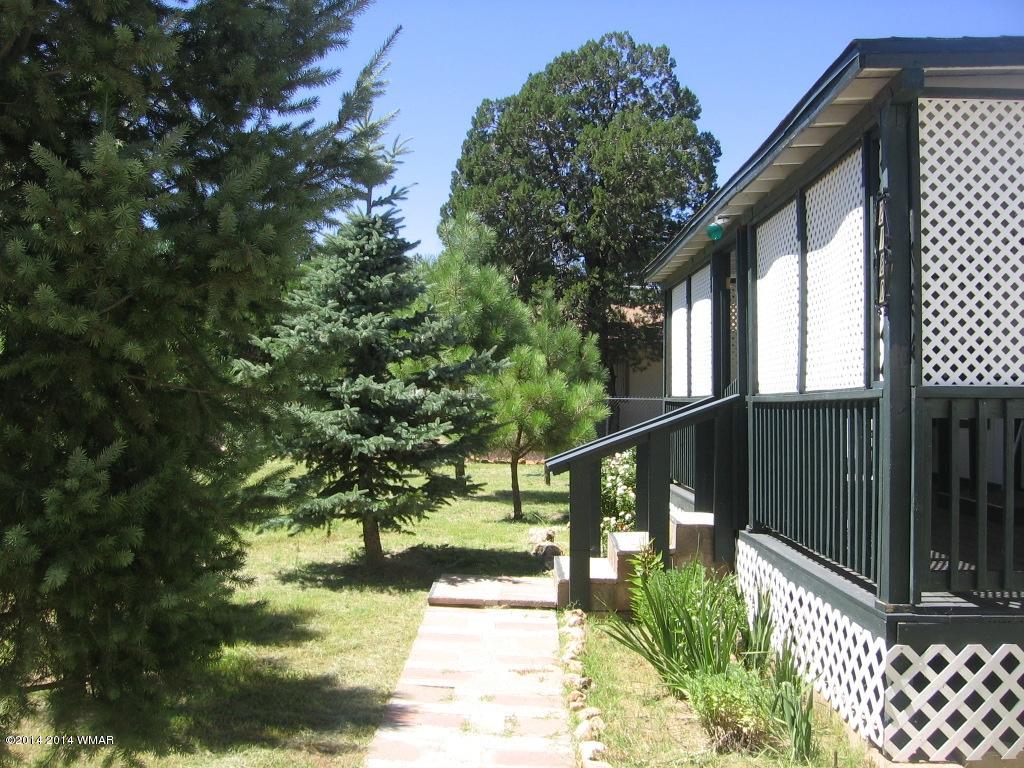 2182 Wildlife Trail Overgaard, AZ 85933 - Photo 8 of 35