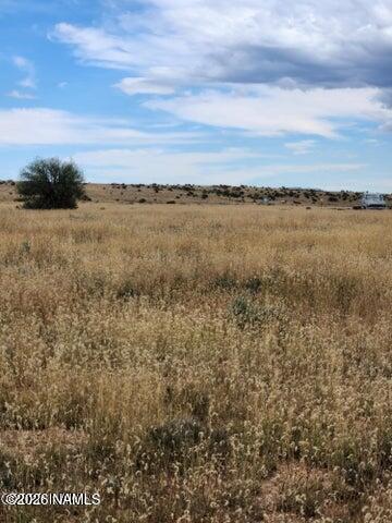 2471 South Amherst Street Williams, AZ 86046 - Photo 4 of 5
