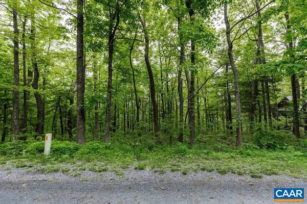 a view of outdoor space and trees
