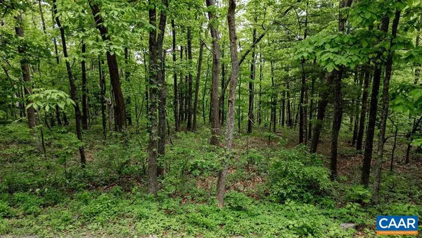 a view of a yard with plants and a small yard