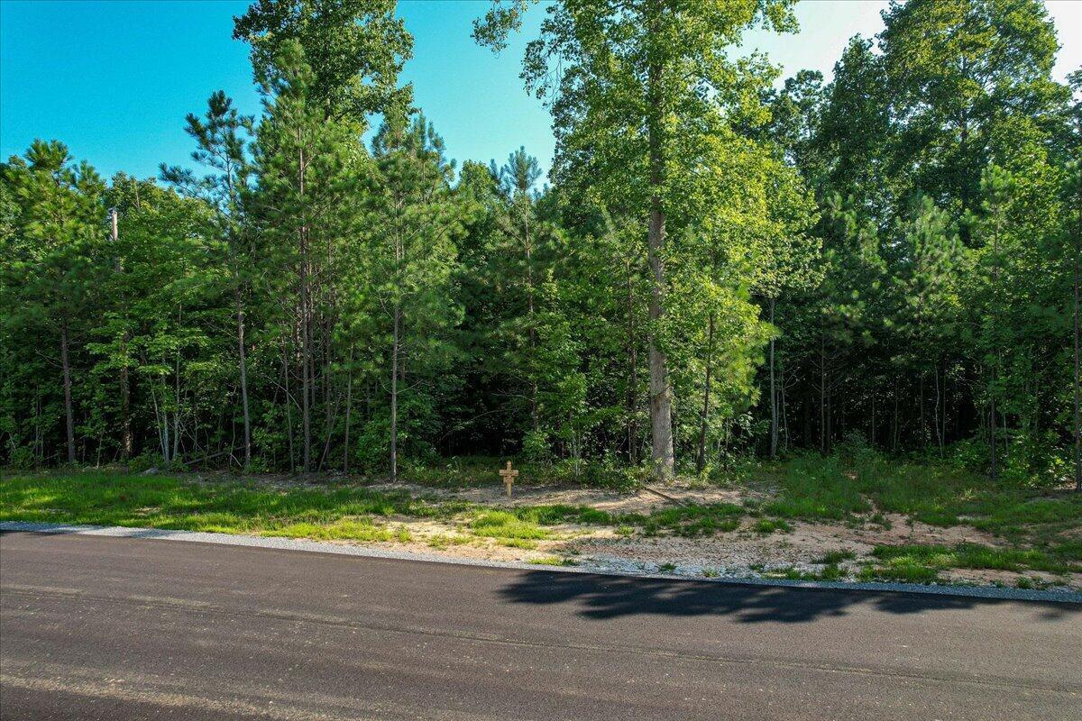 0 Whiskey Way, Unit JF390 Jasper, TN 37347 - Photo 4 of 37 20250404194954860563000000-o