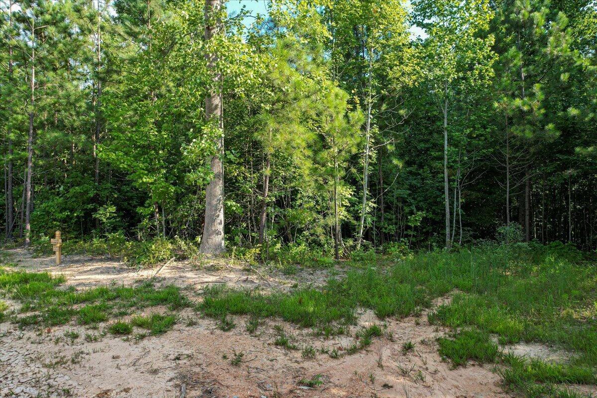 0 Whiskey Way, Unit JF390 Jasper, TN 37347 - Photo 5 of 37 20250404194955302880000000-o