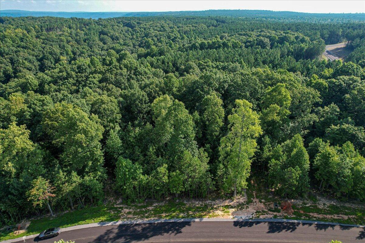0 Whiskey Way, Unit JF390 Jasper, TN 37347 - Photo 7 of 37 20250404194956151599000000-o