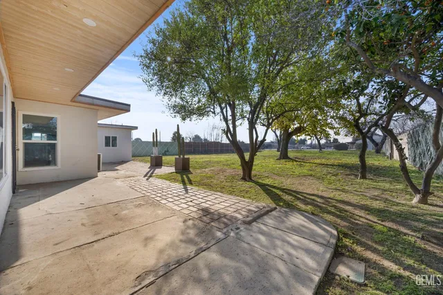 a view of backyard with tree