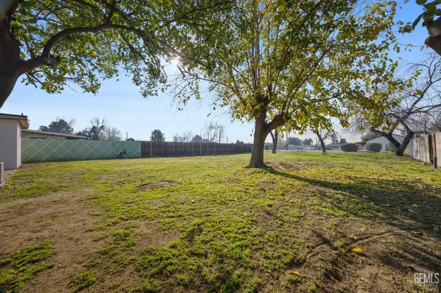 a view of a yard with a tree