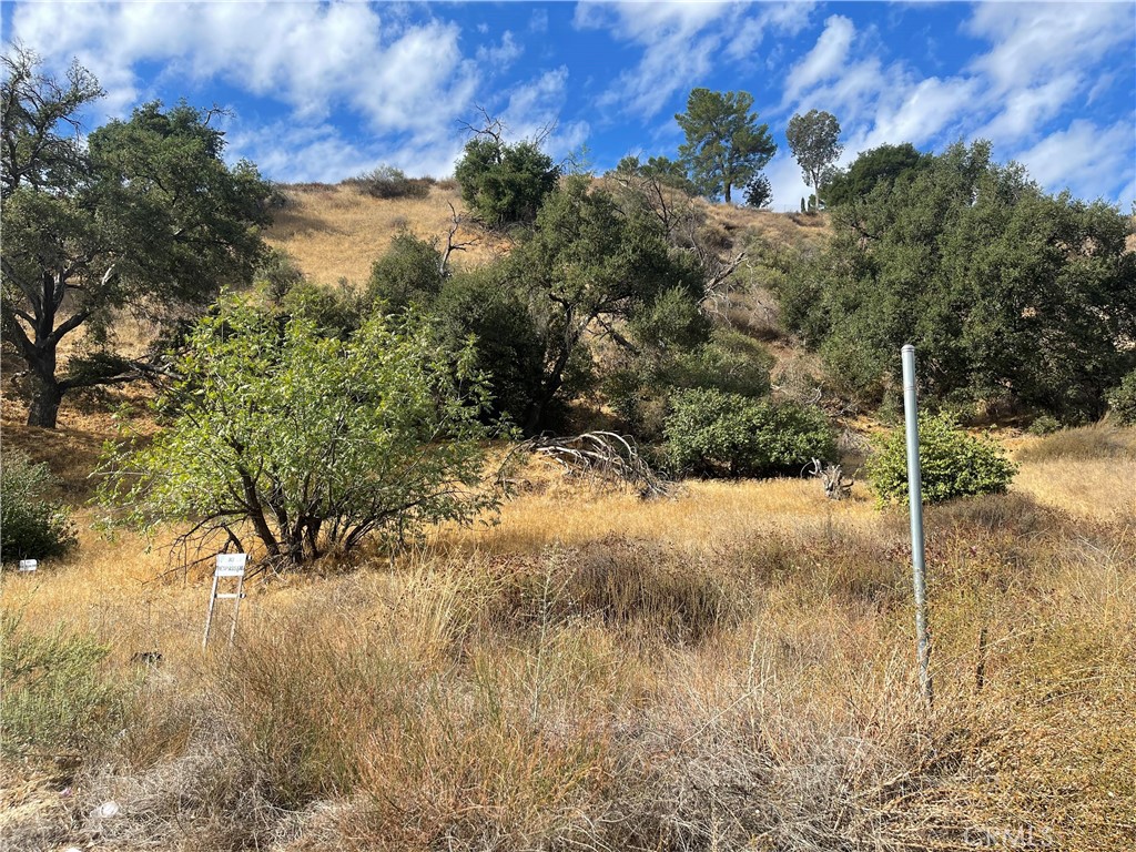 0 Chiquita Canyon Road Val Verde, CA 91384 - Photo 1 of 16 a view of a yard