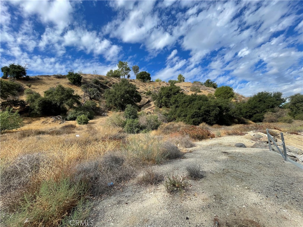 0 Chiquita Canyon Road Val Verde, CA 91384 - Photo 12 of 16 a view of a dry yard with lots of trees