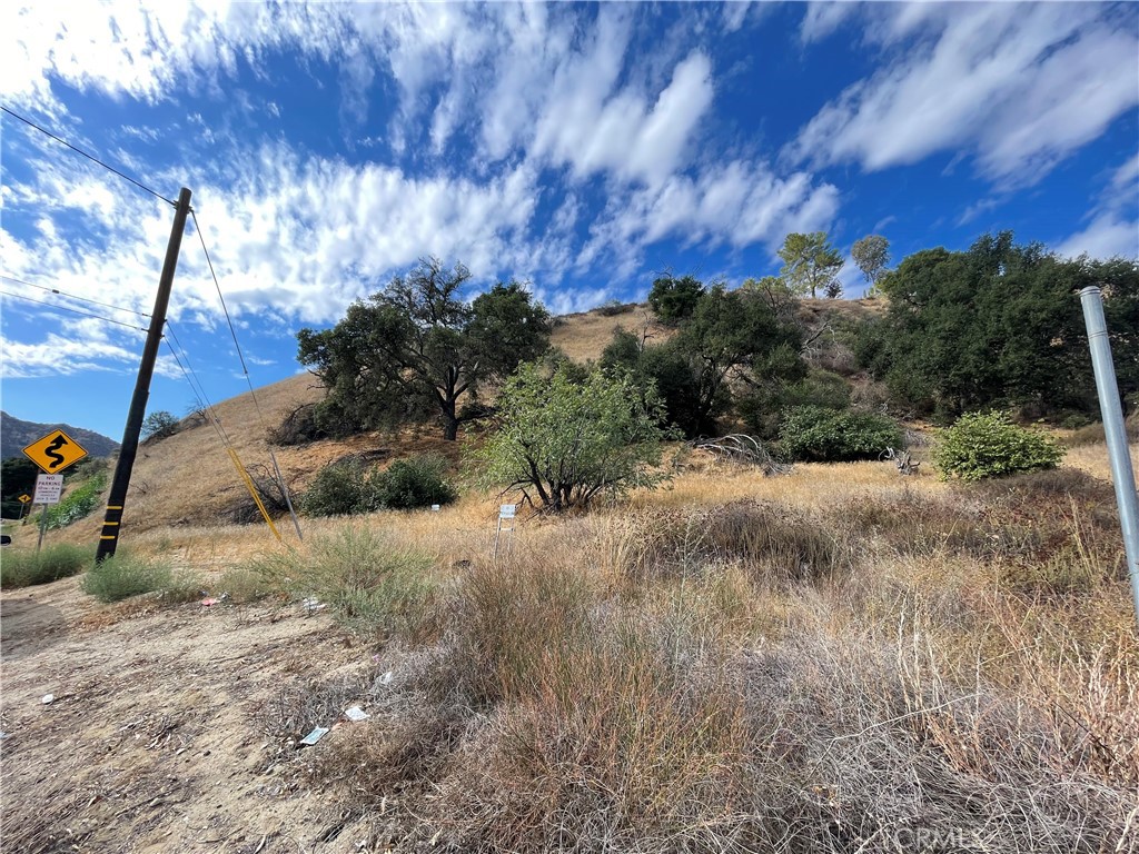 0 Chiquita Canyon Road Val Verde, CA 91384 - Photo 13 of 16 a view of a field with a tree