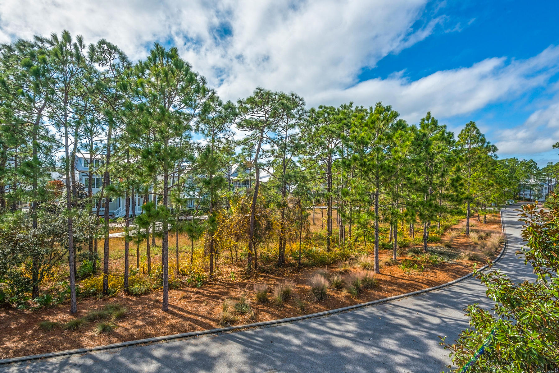 128 Wiregrass Way Santa Rosa Beach, FL 32459 - Photo 76 of 79 128_WiregrassWay_20181215_584