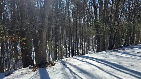 a bed in a hotel room