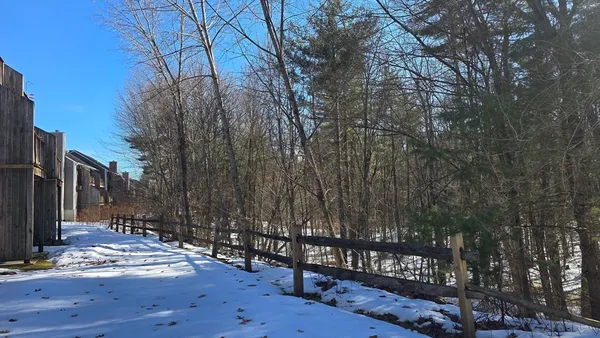 a view of a park with trees