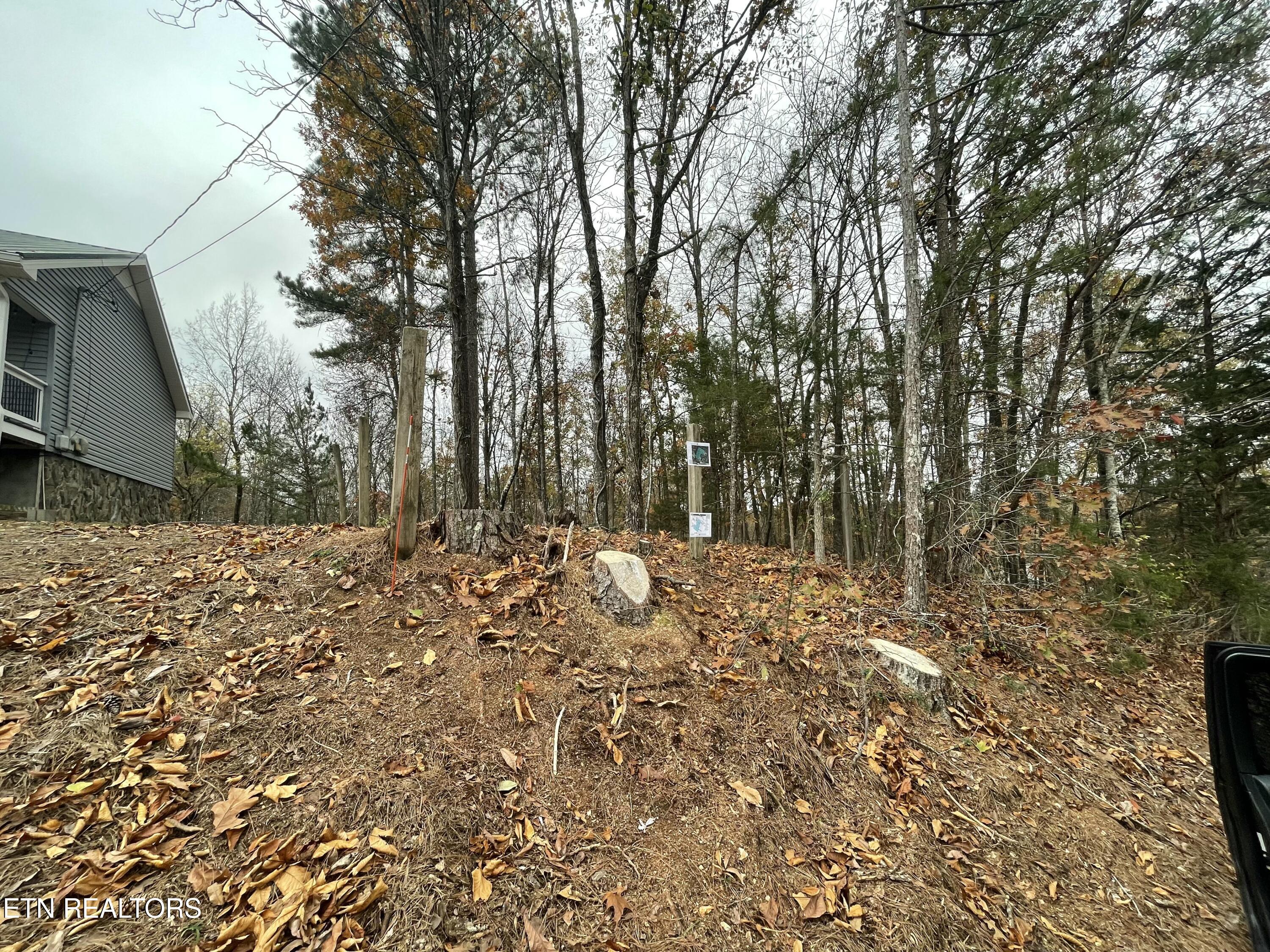 7450 Chad Road Harrison, TN 37341 - Photo 4 of 6 tempImagefYmCc6