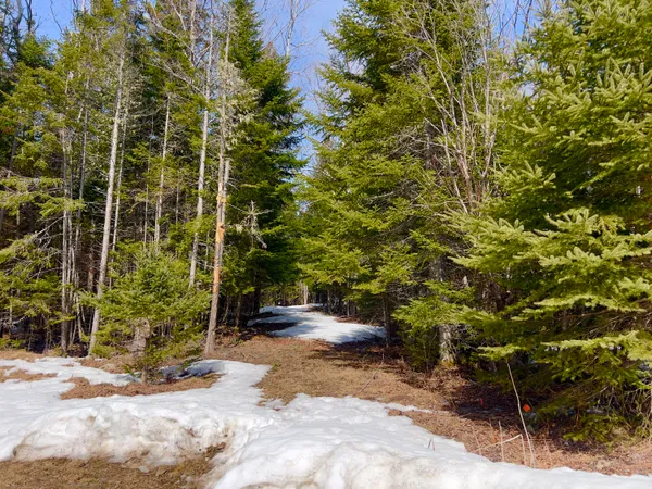 $225,000 | 2-001-09a Kendall Farm Trail, Dallas Plt, ME 04970
