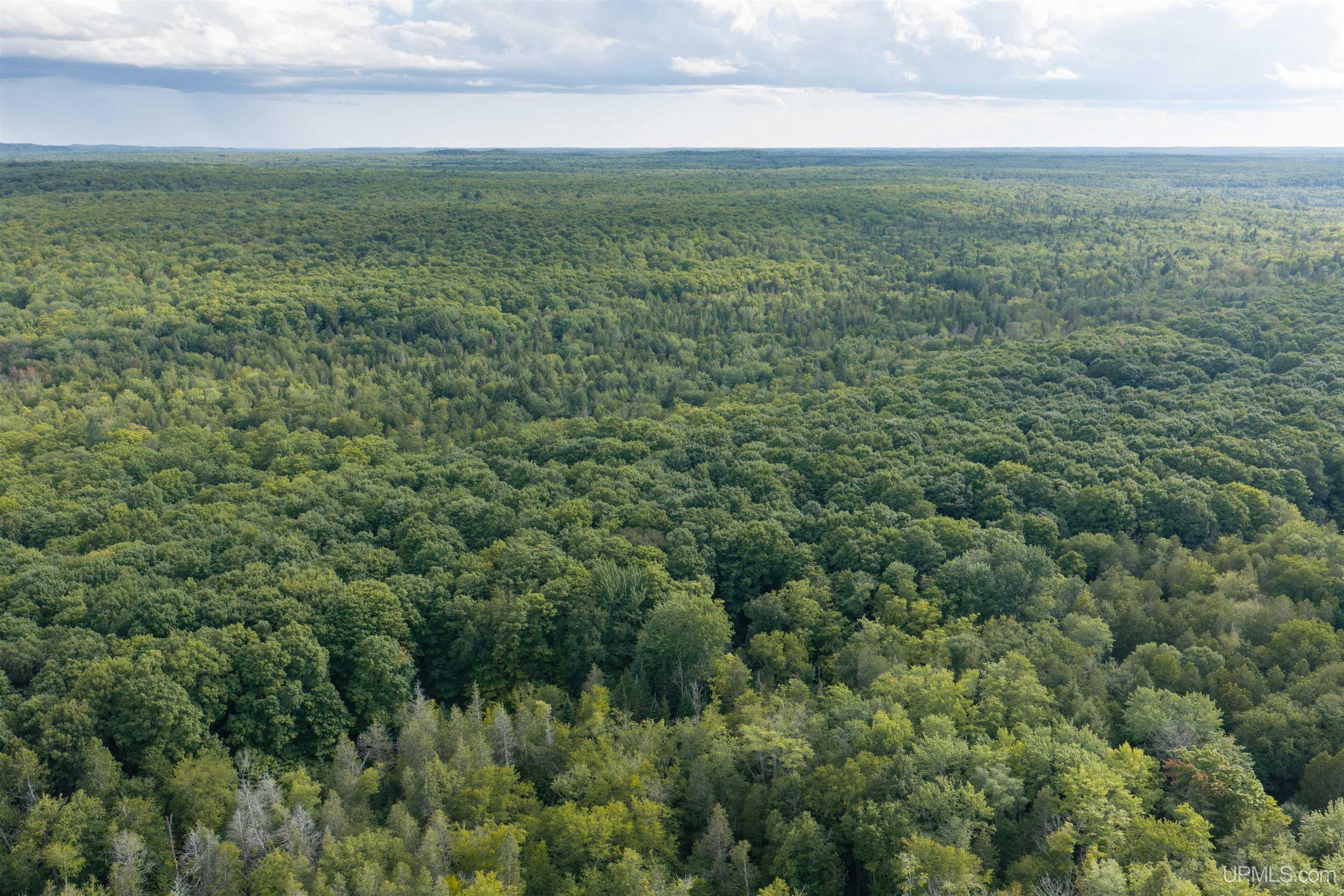 40 Acres Martin Road Au Train, MI 49806 - Photo 2 of 13 Gallery Image 2